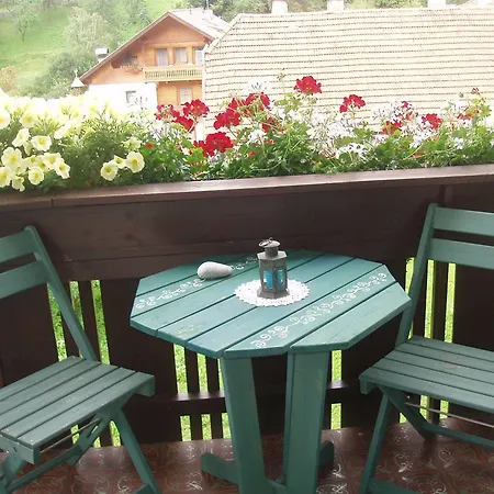 Haus Auer Irene Hotel